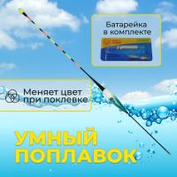 Электронный умный поплавок Hongyuan 5 гр. с батарейкой