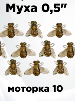 Мягкая приманка "ТРТ" Муха банка 50 шт. (цвет в ассортименте)