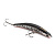 Воблер Namazu Iron minnow, L-90мм, 6 г, минноу, плавающий (0-0,5м), цвет №12