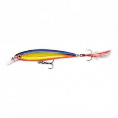 Воблер Rapala XR10 /HS 