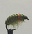 Приманка Gammarus Amphipod Olive & Orange артикул 3.0021-14