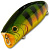 Воблер Lucky Craft Malas-884 Aurora Gold Northertn Perch 514