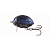Воблер "SALMO" Lil'Bug F BG2-DBE