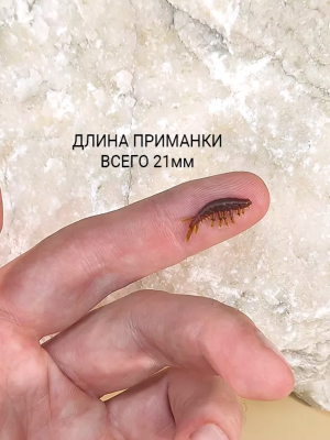 Искусственный мормыш Gammarus Сибирский шаман 21 мм банка 50 шт.(в ассортименте)