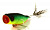 Воблер "JACKALL" Chubby Popper 42 87208 mat tiger