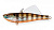 Воблер "STRIKE PRO" Tornado Vibe тон. 6.5см 14.5г EG-204A#A68G