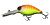Воблер Jackall DD Chubby 38 цв. tropical mat tiger