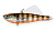 Воблер "STRIKE PRO" Tornado Vibe тон. 6.5см 14.5г EG-204A#A68G