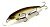 Воблер Jackall Mag Squad 115 SP цв. tennessee shad