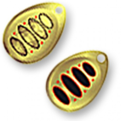 Блесна "PONTOON21" Ball Concept P21-SP-BCT-#0-BT01-041