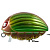 Воблер "SALMO" Bass Bug BG5.5-GBG