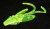 Приманка "ALLVEGA" съедоб. Fancy Nymph 2.5см 0.8г SB-FN25-031 chartreuse shine 10шт