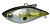 Воблер Megabass VIBRATION-X POWER BOMB (Megabass Sexy Shad) Rattle