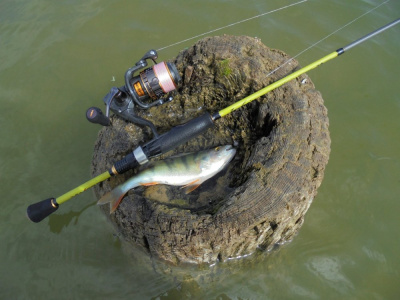 Спиннинг "Maximus" Ichiro 18UL 1.8м 1-7г