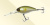 Воблер "JACKALL" Mascle Deep 4+ 34738 pearl ayu