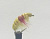 Приманка Gammarus Amphipod Yellow & Red артикул 3.0036-14