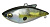 Воблер Megabass VIBRATION-X POWER BOMB (Megabass Sexy Shad) Rattle